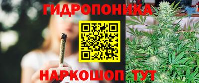 индика Малгобек
