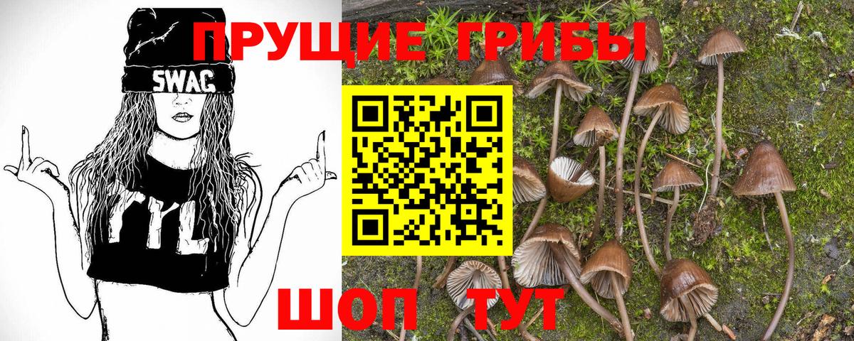 Псилоцибиновые грибы мухоморы  Галлюциногенные грибы GOLDEN TEACHER  Якутск  Вход с VPN 